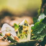 Beauty Website in Light Pink Maroon Dark Pink Style