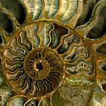 photo_2026-01-09_10-25-58