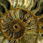 photo_2026-01-09_10-25-58