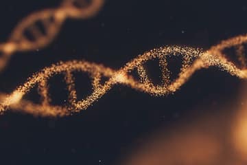 Varakaya Gen Aktivierung